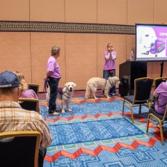 Purple-Day-Expo-2026-Afternoon-106