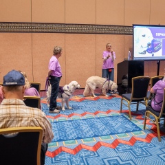 Purple-Day-Expo-2026-Afternoon-107