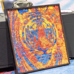 Purple-Day-Expo-2026-Afternoon-150