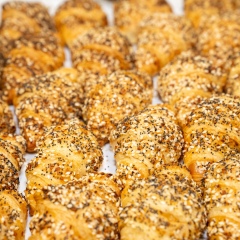 Purple-Day-Expo-2026-Morning-16