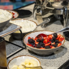 Purple-Day-Expo-2026-Morning-24