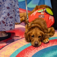 Purple-Day-Expo-2026-Morning-343