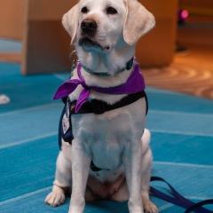 Purple-Day-2024-Event-Photo-21