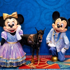 Purple-Day-Expo-2026-Mickey-and-Minnie-96