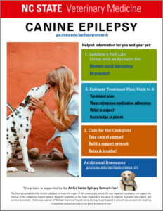 Clinical Research for Epilepsy Has Gone to the Dogs